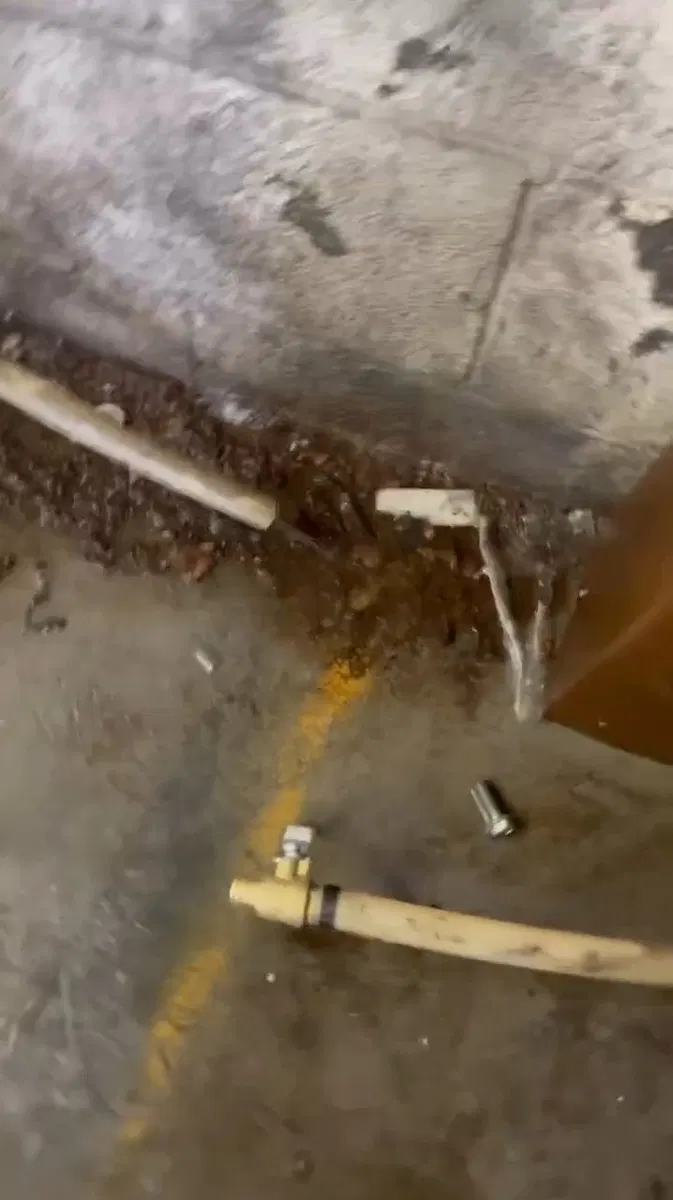 Commercial water line repair showing drain layout
