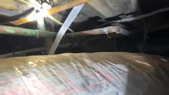 Close view of coupling detail for frozen pipe repair