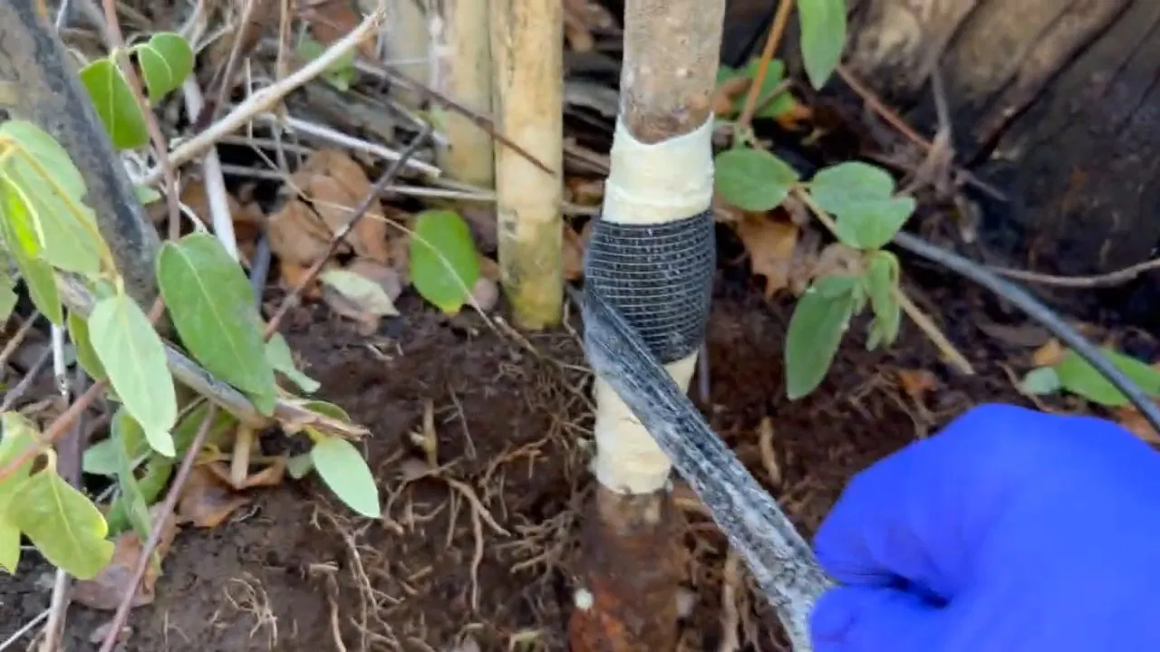 Pipe access used in metal water pipe repair