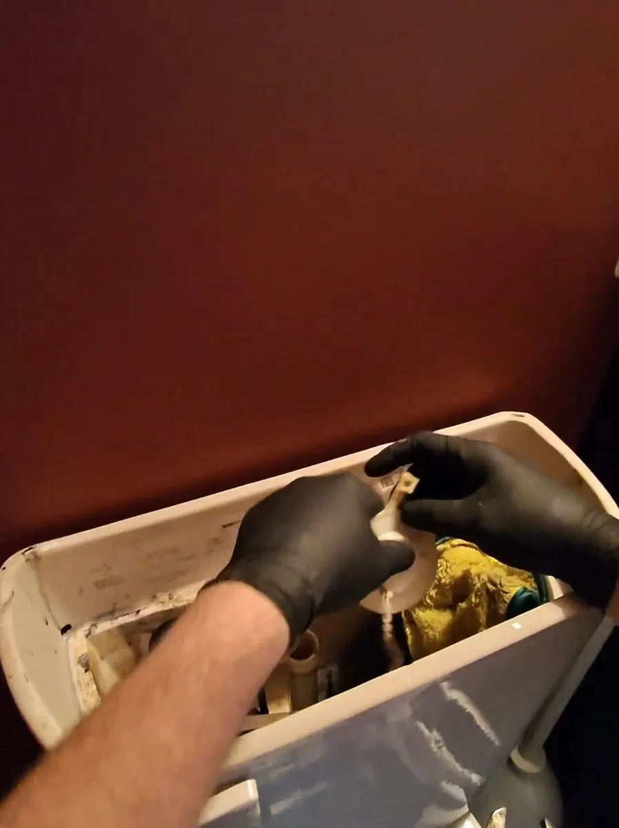 Plumbing service view of tank components in toilet tank repair kit