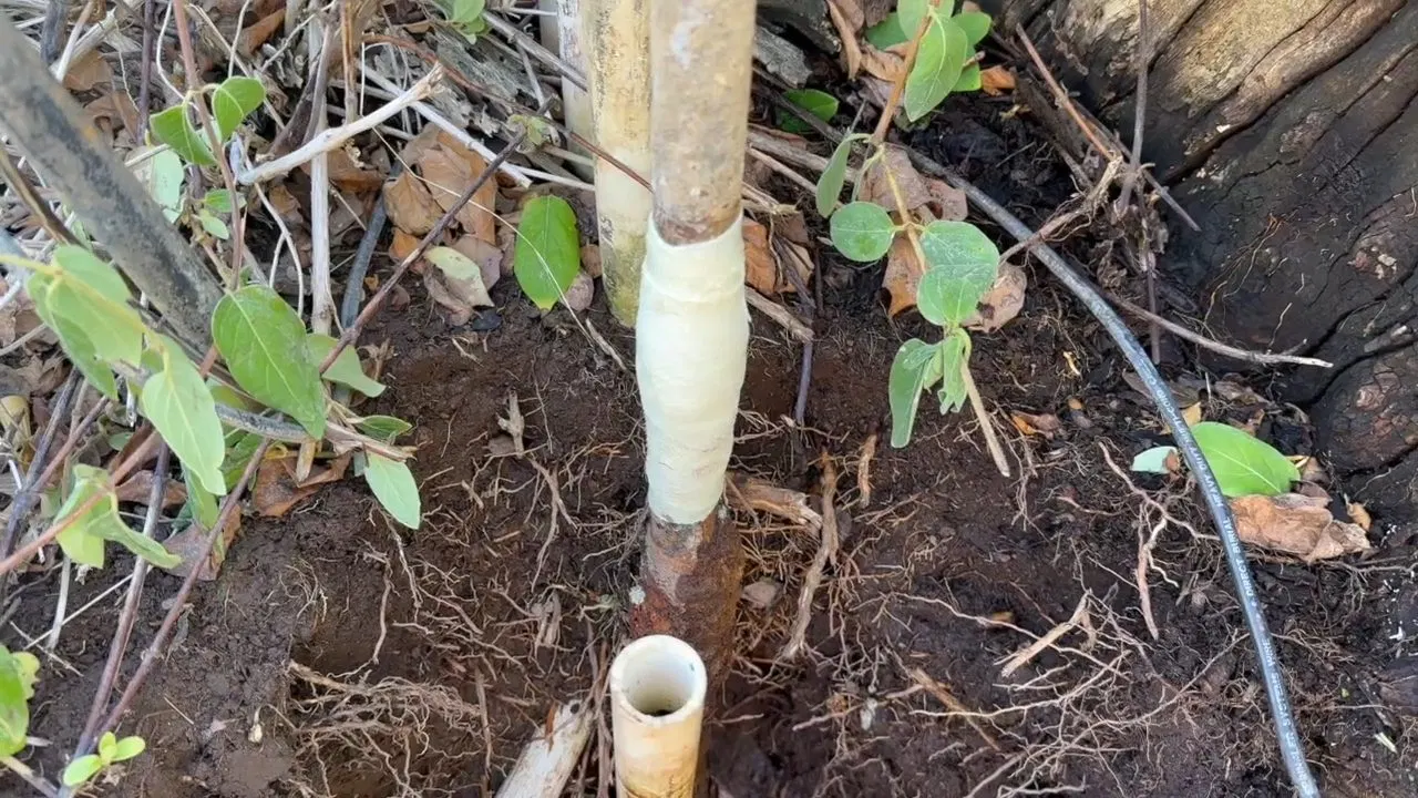 Water service line replacement showing new water line